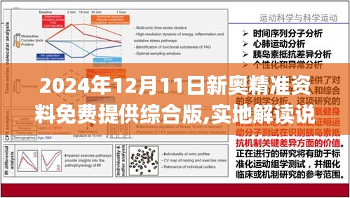 2024新奥资料免费精准|精选解释解析落实