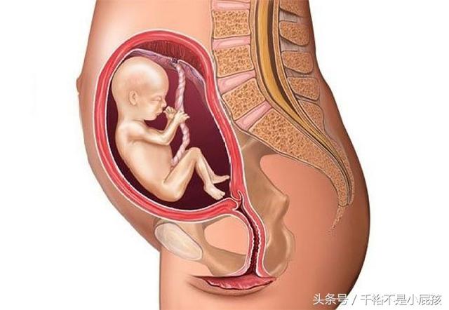 孕两个月肚子抽痛，原因、管理与注意事项