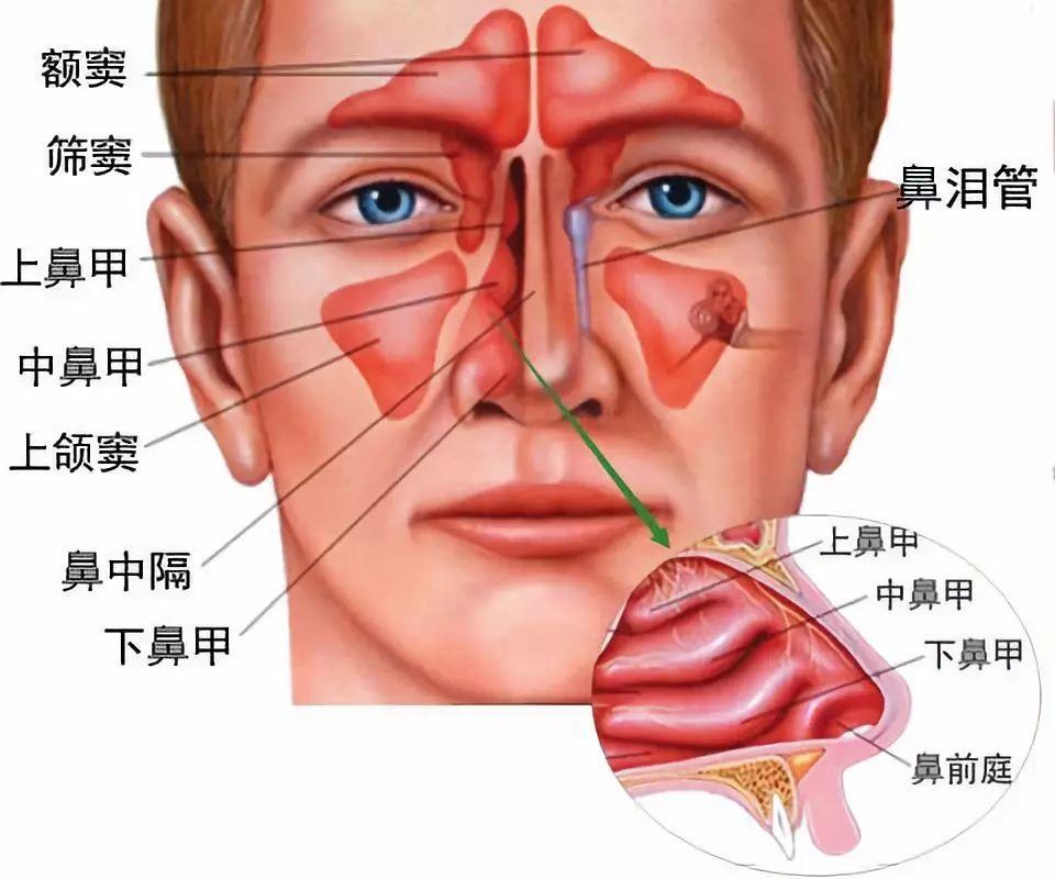 三个月大的宝宝鼻塞怎么办？全面解析宝宝鼻塞成因与处理措施