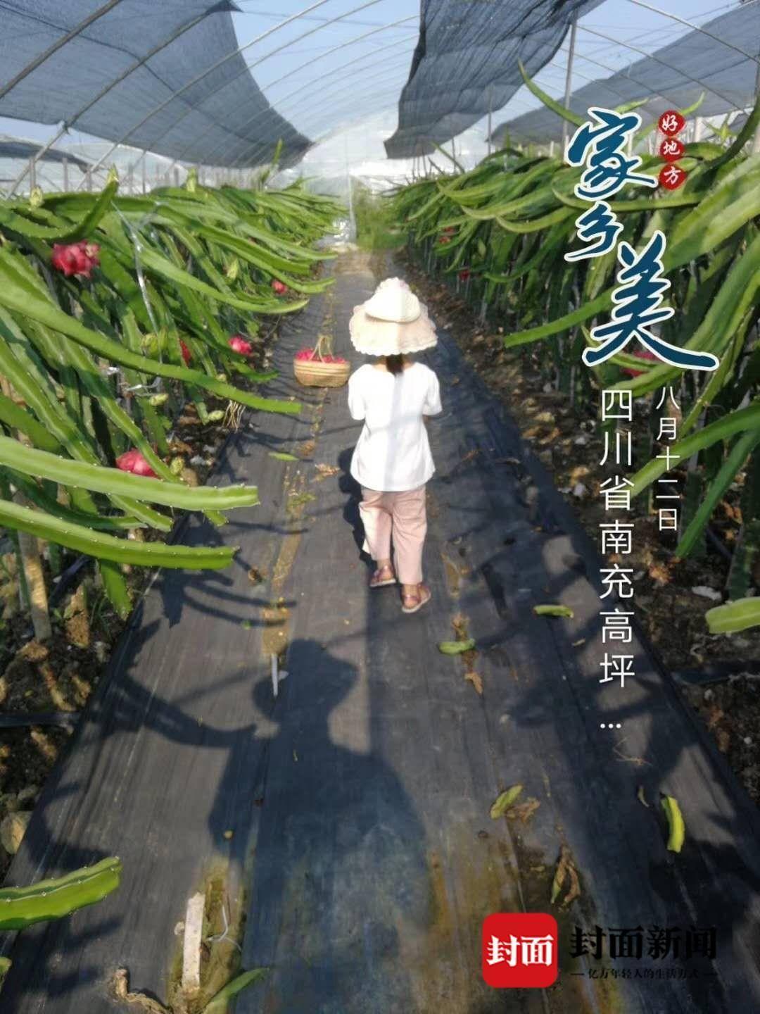 探究两岁孩子的成长奥秘，时间流转下的成长印记——关于两岁是几个月的探讨