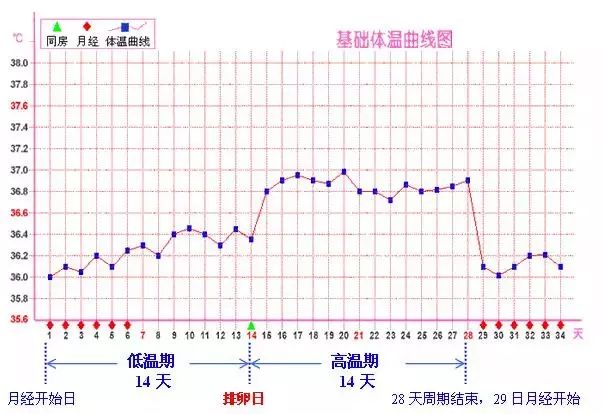 孕六个月体温变化及其影响因素