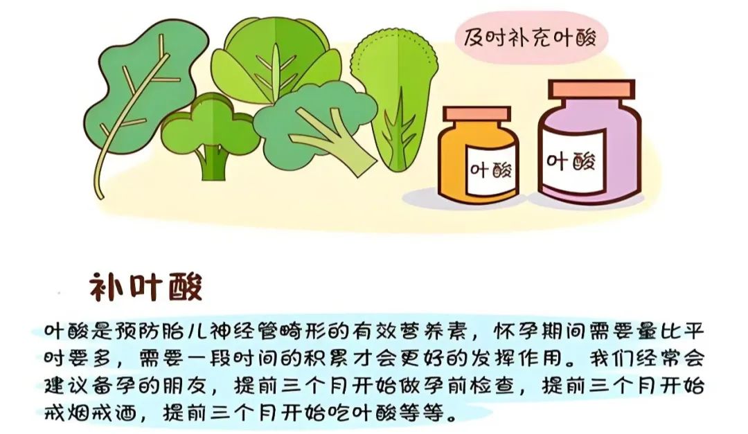 叶酸，孕期护航的守护者，可以吃到几个月？