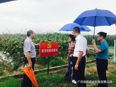 广东省农业资料有限公司，农业领域的卓越先锋