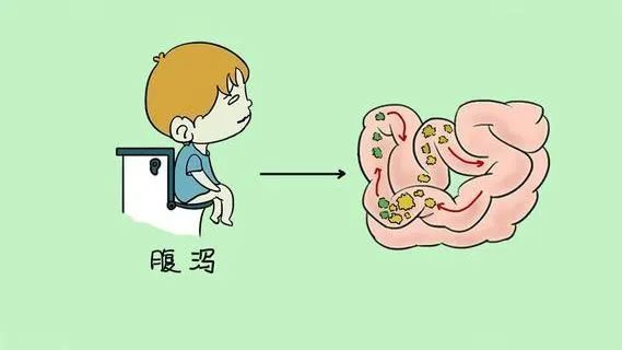 孕6个月拉肚子，原因、应对措施与注意事项