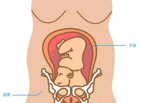 宝宝几个月入骨盆，深入了解与正确养护