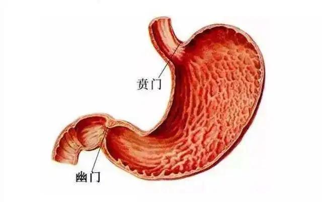 两个月宝宝吐奶的原因及应对措施