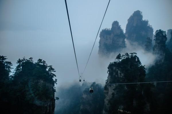 湖北与广东，跨越千山万水的连结