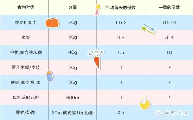 十一个月宝宝饮食规划，一天几顿饭最适宜？